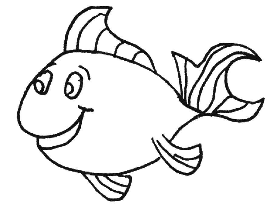 Coloring Fish. Category fish. Tags:  fish, fish.