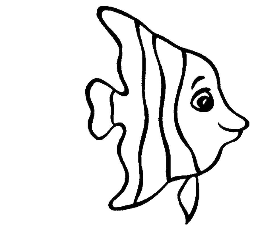 Название: Раскраска Рыба. Категория: рыбы. Теги: рыбка, рыба.