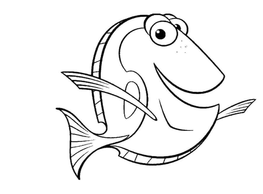Название: Раскраска Рыба. Категория: рыбы. Теги: рыба, рыбка.