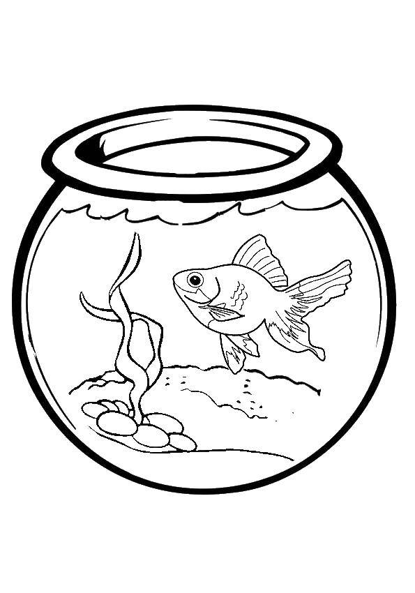 Название: Раскраска Рыбка в аквариуме. Категория: рыбы. Теги: морские жители, море, рыбы, вода, аквариум.