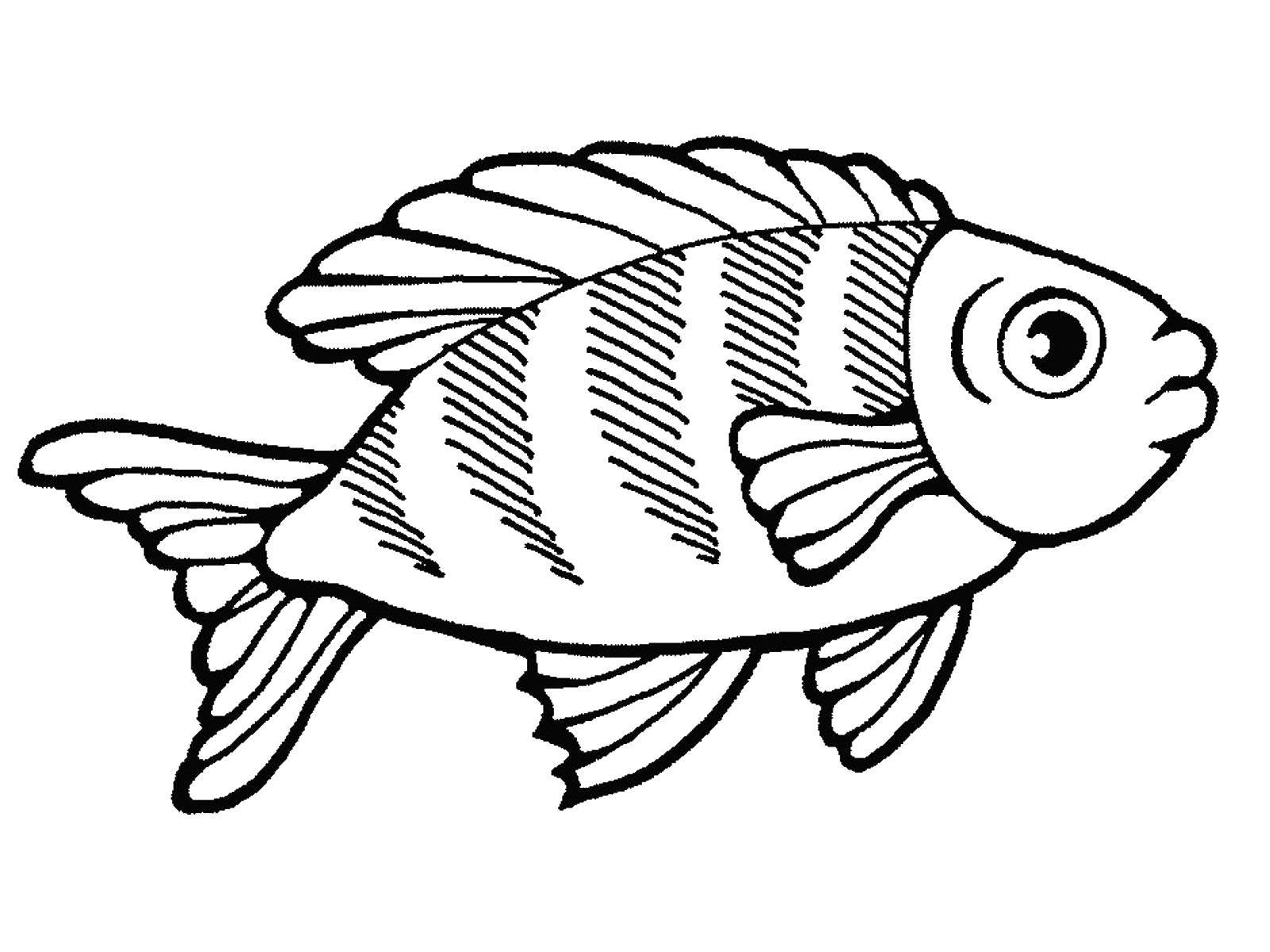 Название: Раскраска Рыбка. Категория: рыбы. Теги: морские жители, море, рыбы, вода.