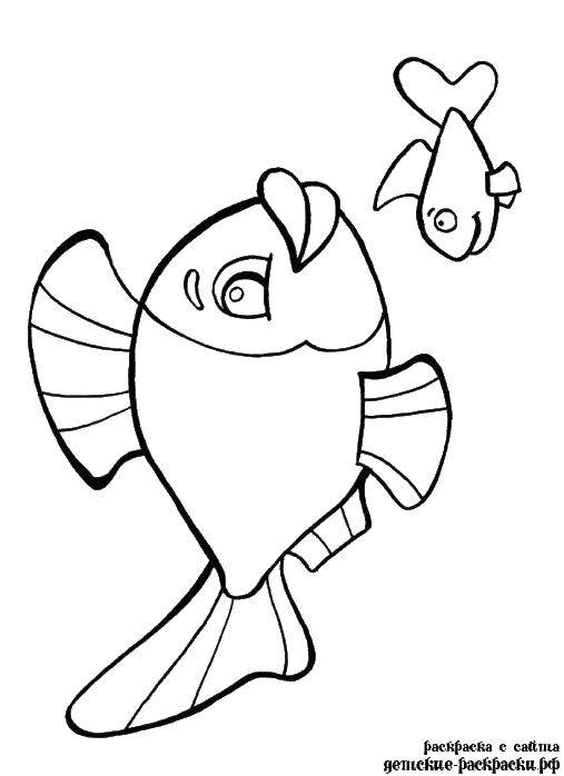 Coloring Fish. Category fish. Tags:  kids coloring pages, fish, fish.
