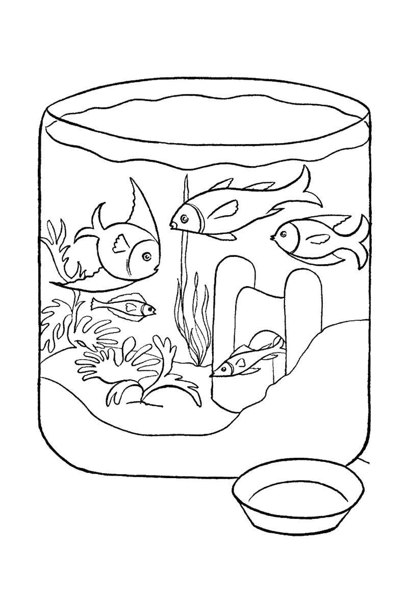 Coloring Fish in the aquarium. Category fish. Tags:  aquarium, fish.