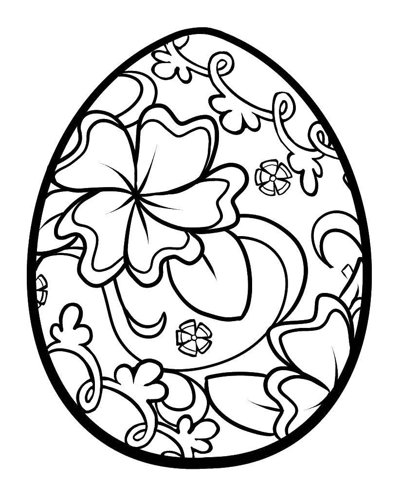 Название: Раскраска Цветы и яйцо. Категория: Узоры для раскрашивания яиц. Теги: яйцо, узоры, цветы.