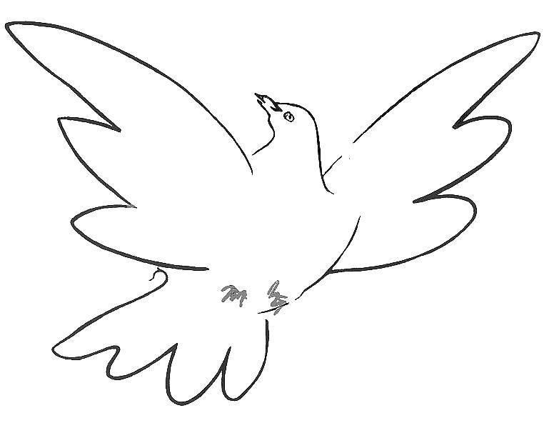 Розмальовки  Голуб летить. Завантажити розмальовку голуб, гілка.  Роздрукувати ,Контури для вирізання птахів,