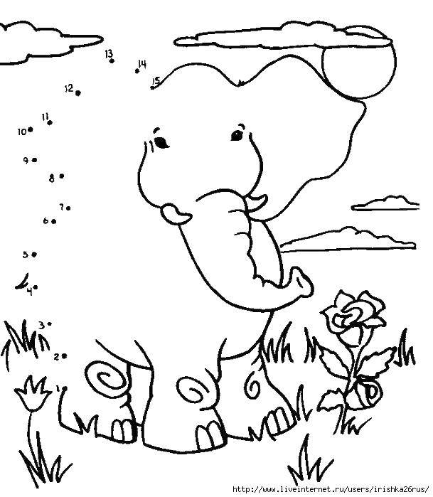 Розмальовки  Слон і квіти. Завантажити розмальовку слон, хобот, квіти, цифри.  Роздрукувати ,намалюй за цифрами,