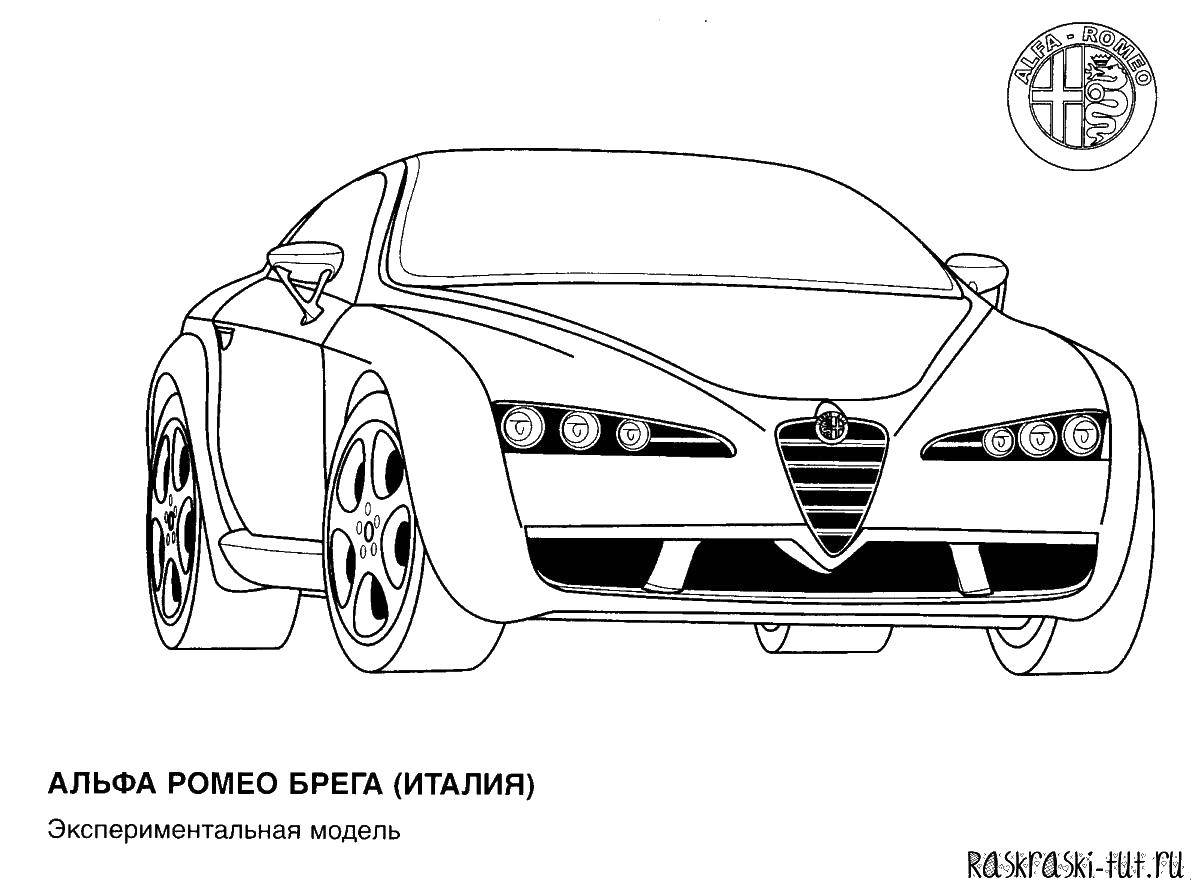 Coloring Alfa Romeo Brega. Category machine . Tags:  cars, Alfa Romeo Brega, Italy.