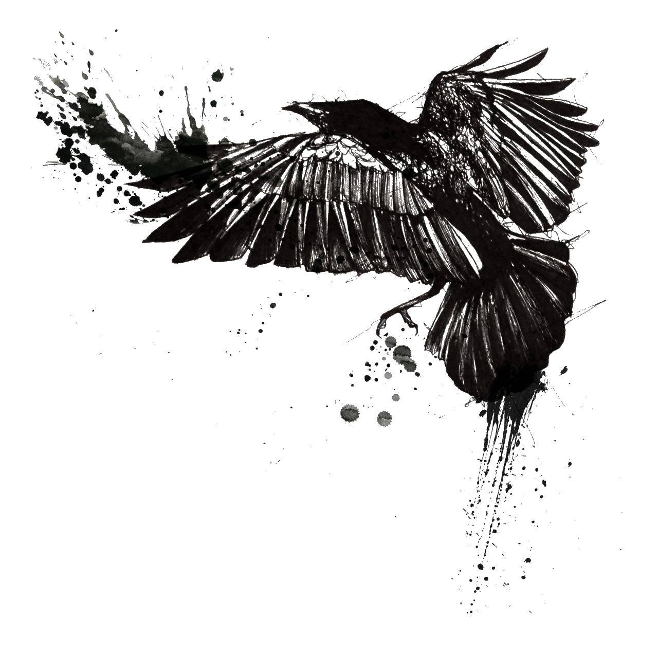 Название: Раскраска Черный ворон кляксой. Категория: Контуры для вырезания птиц. Теги: ворон, птица.