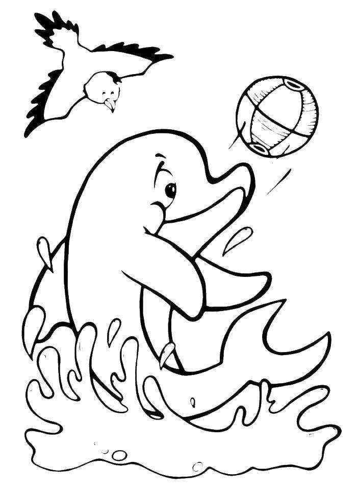 Название: Раскраска Дельфин играет с мячом, птичка. Категория: Животные. Теги: животные, морские жители, море, рыбы, вода, птичка.