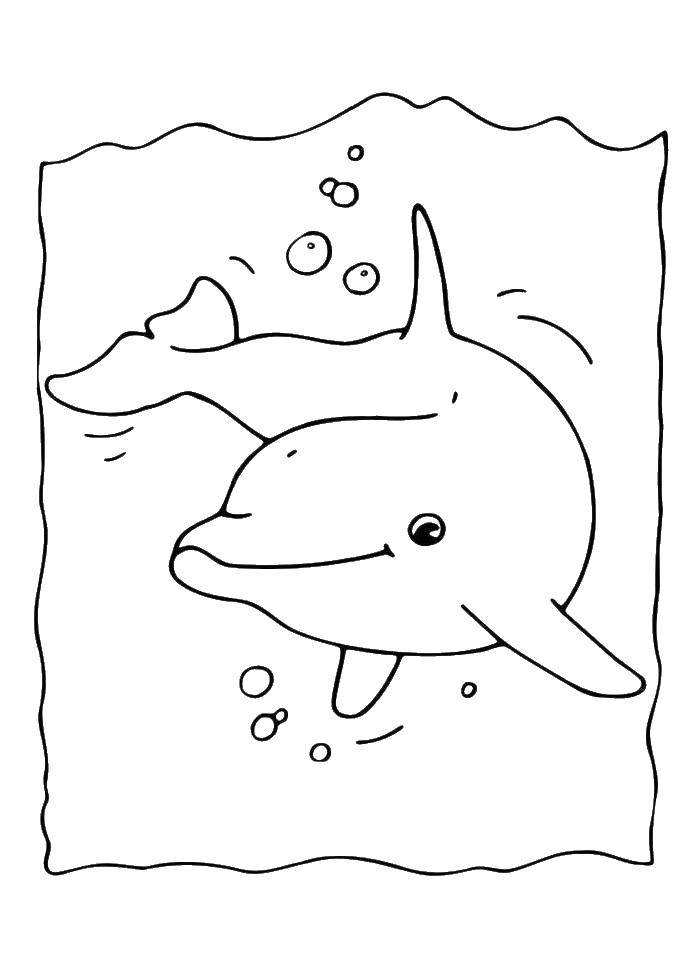 Название: Раскраска Дельфинчик в воде. Категория: рыбы. Теги: морские жители, море, рыбы, вода, дельфин.