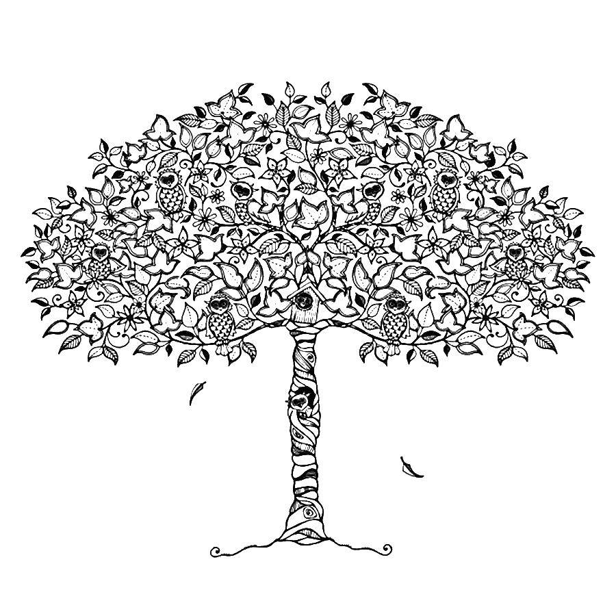 Название: Раскраска Дерево с совами. Категория: раскраски антистресс. Теги: дерево, птицы.