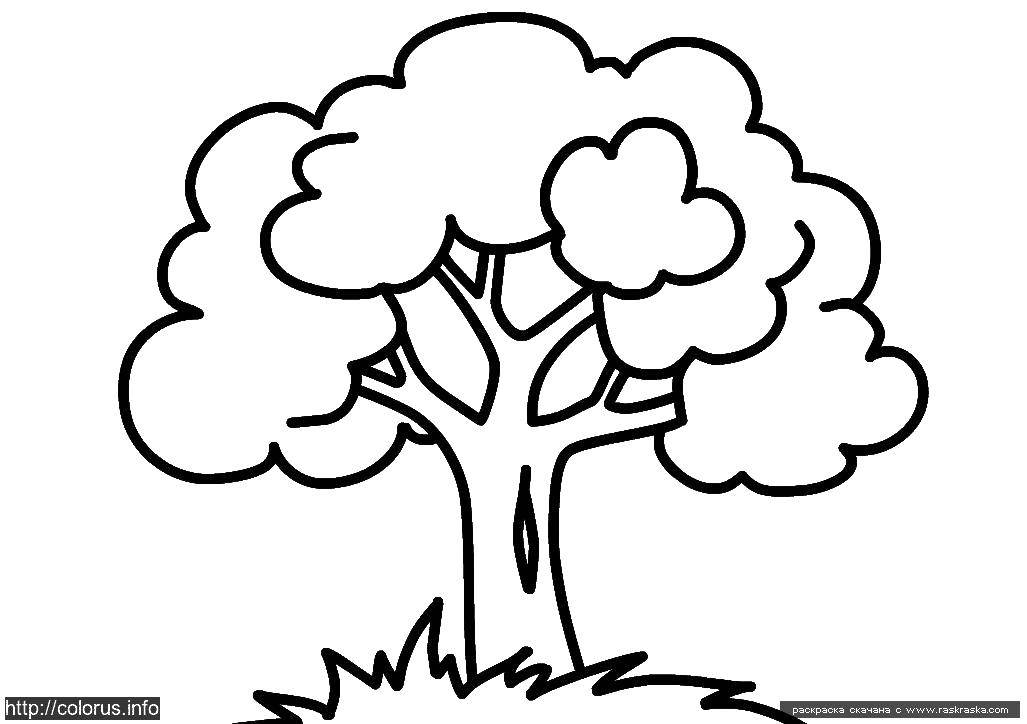 Название: Раскраска Деревце с кроной. Категория: малышам. Теги: малышам, дерево, крона.