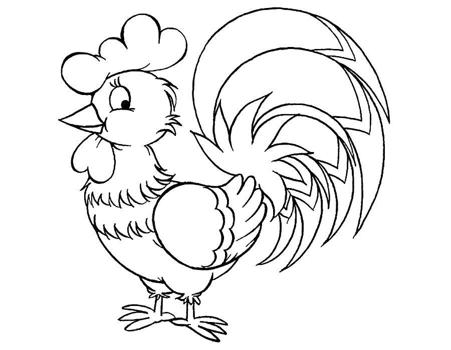 Coloring Ponytail cute cock. Category Pets allowed. Tags:  Birds, cock.