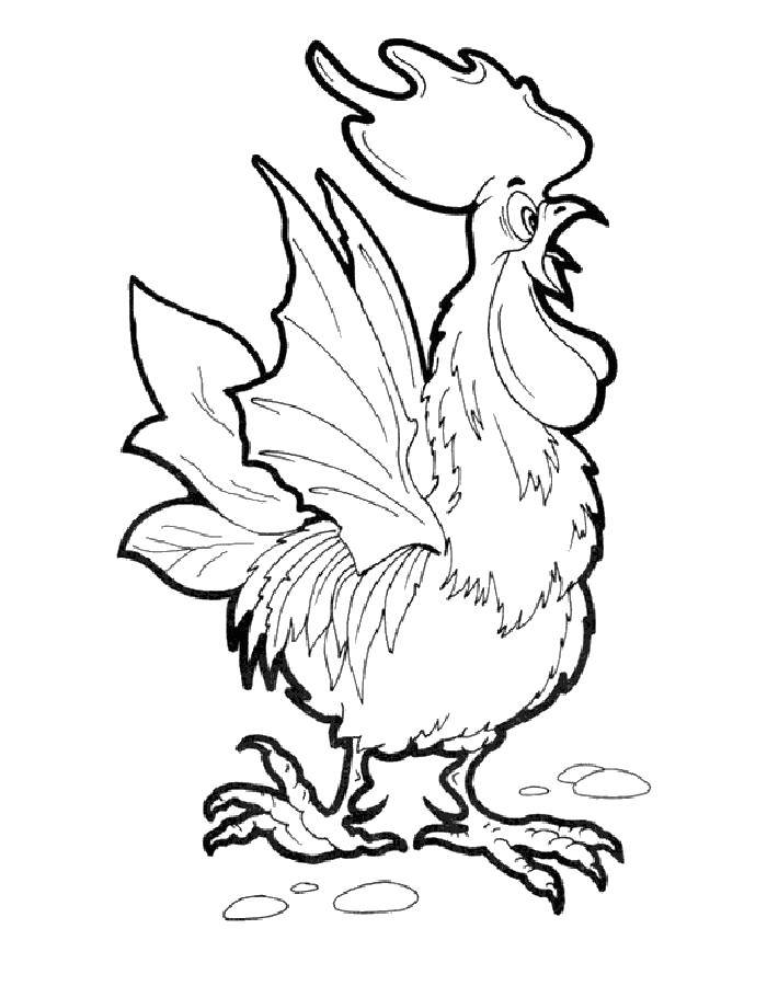 Coloring Scared cock. Category Pets allowed. Tags:  Birds, cock.