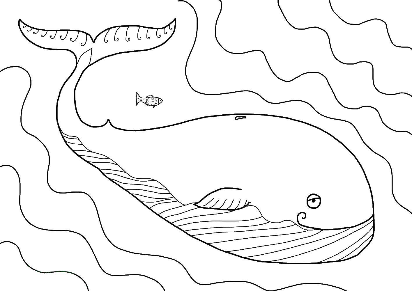 Название: Раскраска Кит плавает вместе с рыбкой. Категория: морское. Теги: Подводный мир, кит, волны.