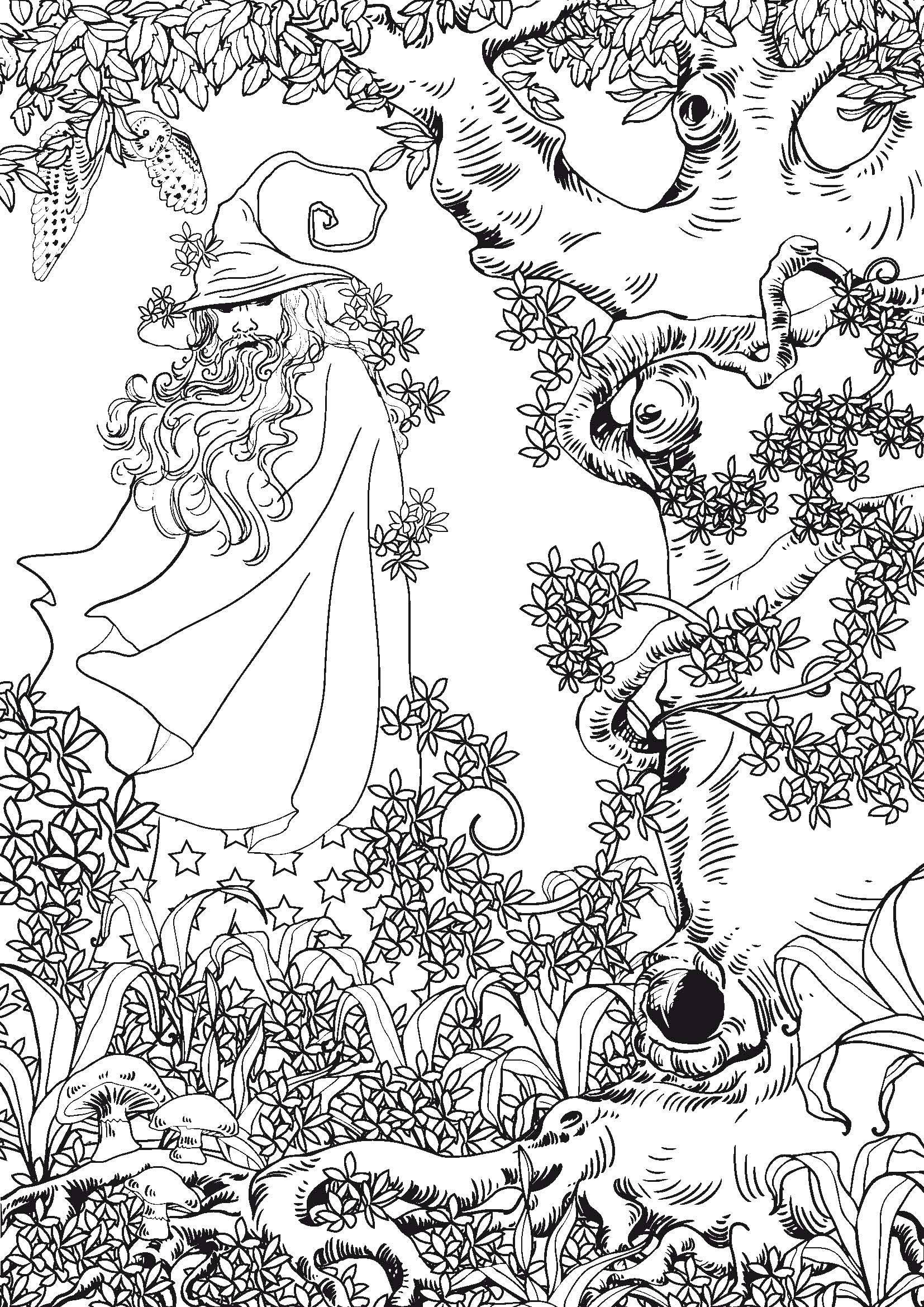 Coloring The warlock in the woods. Category coloring antistress. Tags:  wizard, forest, tree, flowers.