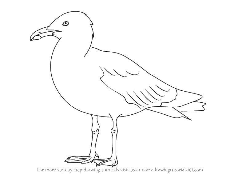 Название: Раскраска Контур утки. Категория: Контуры для вырезания птиц. Теги: контуры, утка.