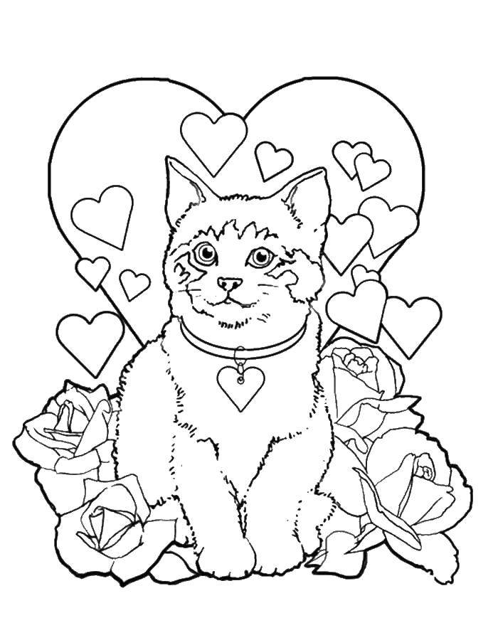 Coloring Kitty, hearts and roses. Category Valentines day. Tags:  kitty, heart, roses.