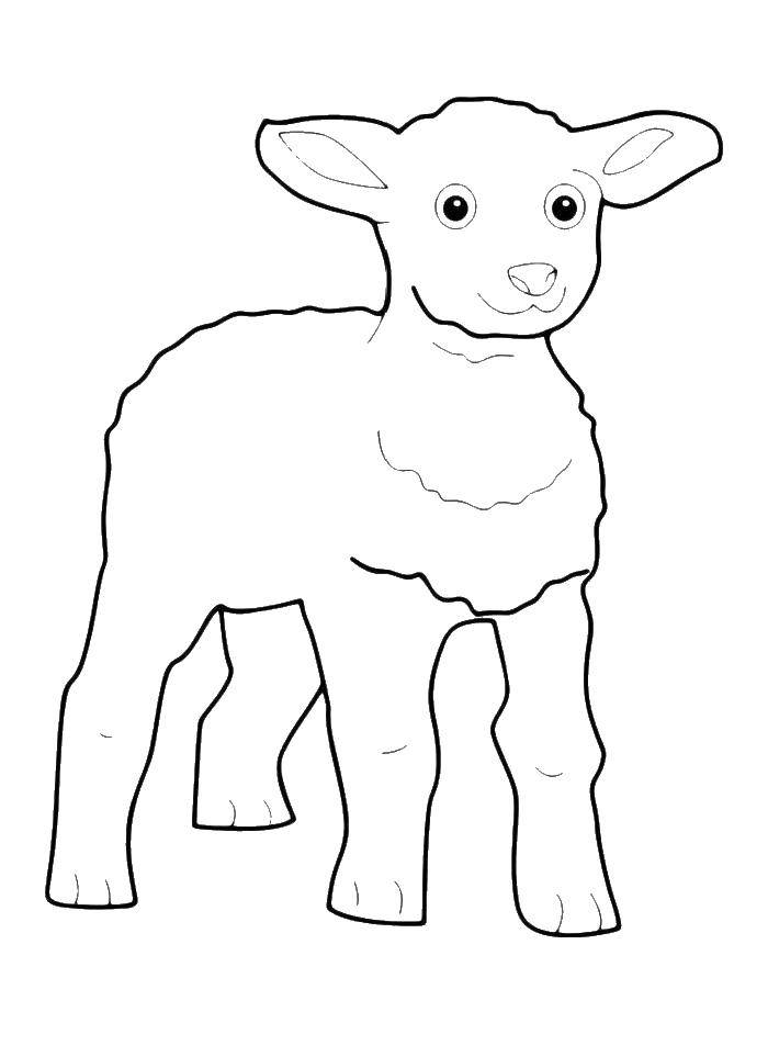 Coloring Goat. Category Pets allowed. Tags:  the kid, Alenka.