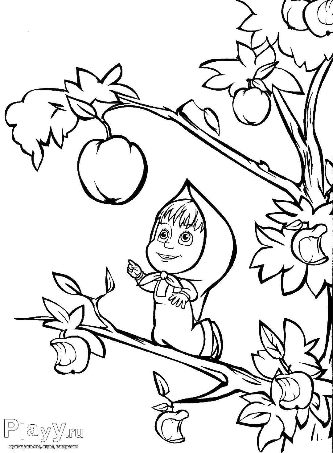 Название: Раскраска Маша на яблоне. Категория: маша и медведь. Теги: маша и медведь, мультфильмы, сказки, яблона.
