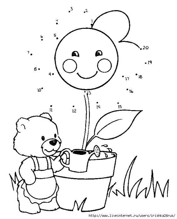Coloring Teddy bear and flower. Category paint by numbers. Tags:  bear , flower, watering can.