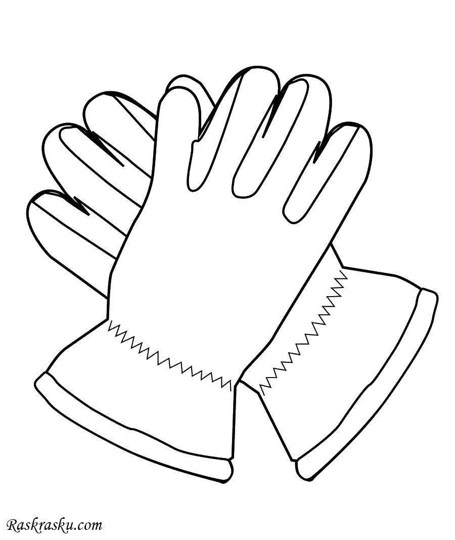 Название: Раскраска Мужские перчатки. Категория: одежда. Теги: одежда, перчатки.