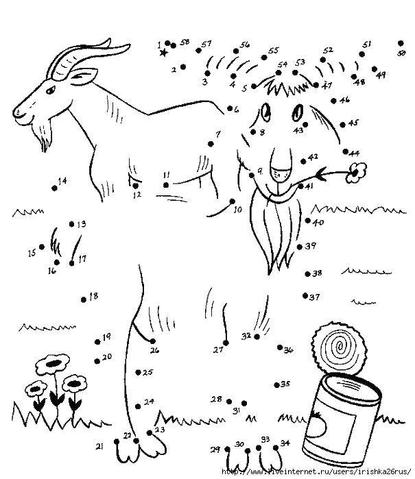 Coloring Draw the figures of a goat. Category paint by numbers. Tags:  The sample numbers.