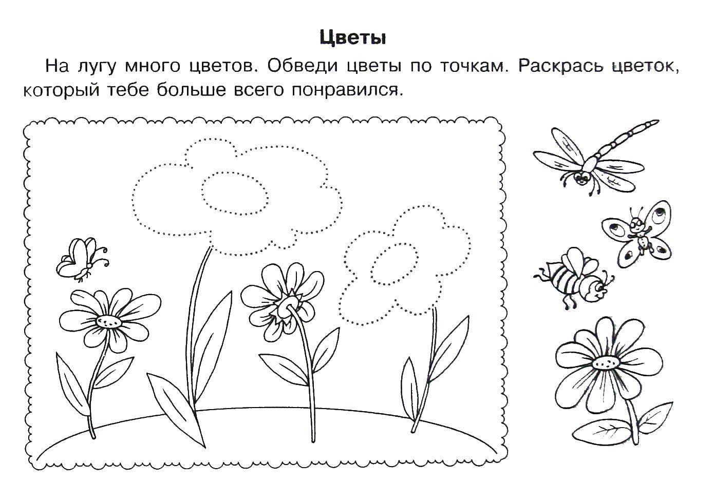 Название: Раскраска Насекомые и цветы. Категория: штриховки для дошкольников. Теги: цветы, бабочка, пчела.