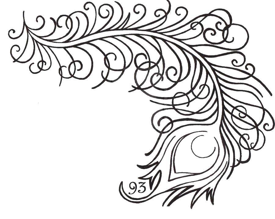 Coloring Piero birds peacock. Category The contours for cutting out the birds. Tags:  Peacock, bird.