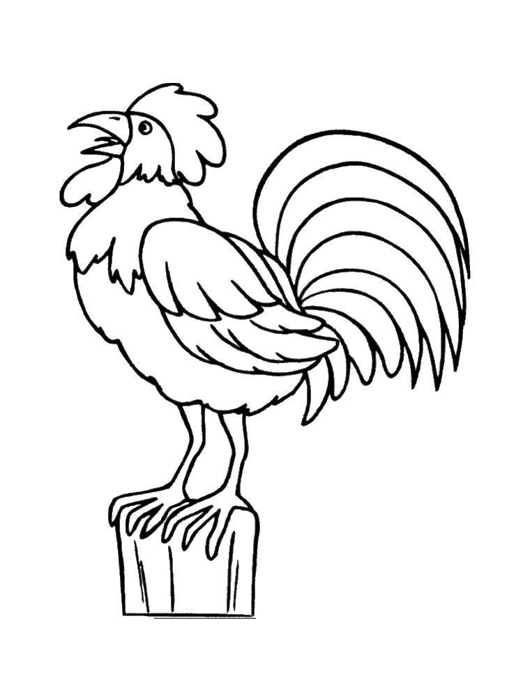 Coloring Rooster on a log. Category Pets allowed. Tags:  Birds, cock.