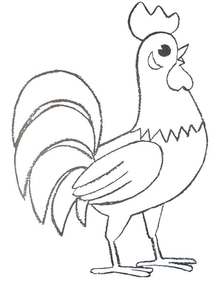 Coloring Cock. Category Pets allowed. Tags:  livestock, poultry, rooster.