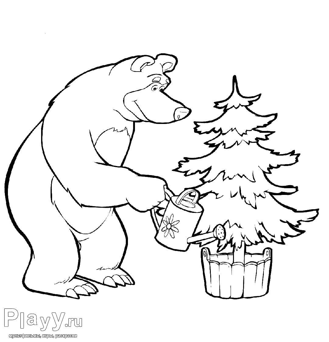 Coloring Watered the Christmas tree. Category Masha and the bear. Tags:  Cartoon character.