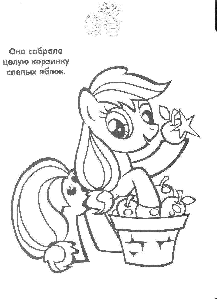 Coloring A pony and a basket of apples. Category Ponies. Tags:  pony, apples.