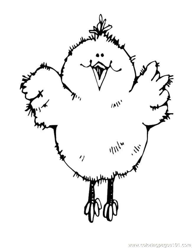 Coloring Happy chick. Category birds. Tags:  Birds.