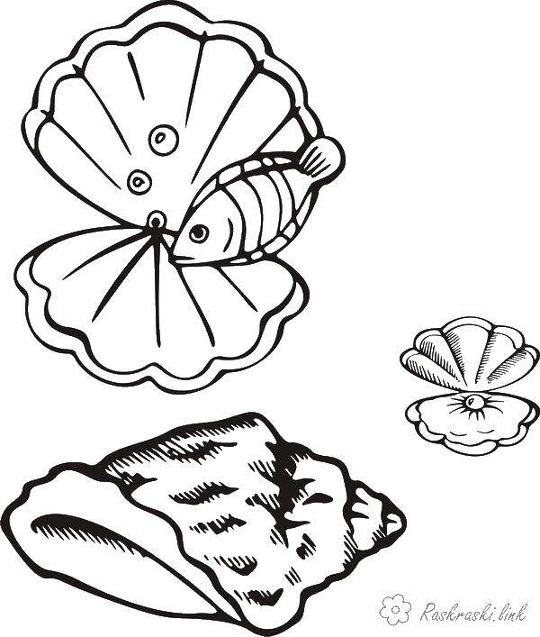 Coloring Seashells, pearls and fish. Category fish. Tags:  marine inhabitants, the sea, fish, water, pearl.