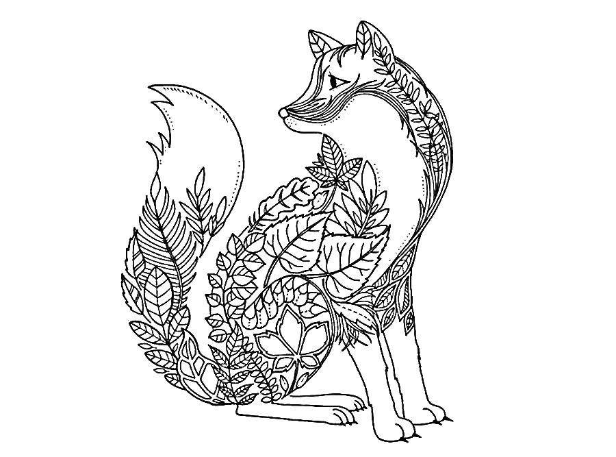 Coloring Fox coloring antistress. Category coloring antistress. Tags:  coloring book, Fox, antistress.