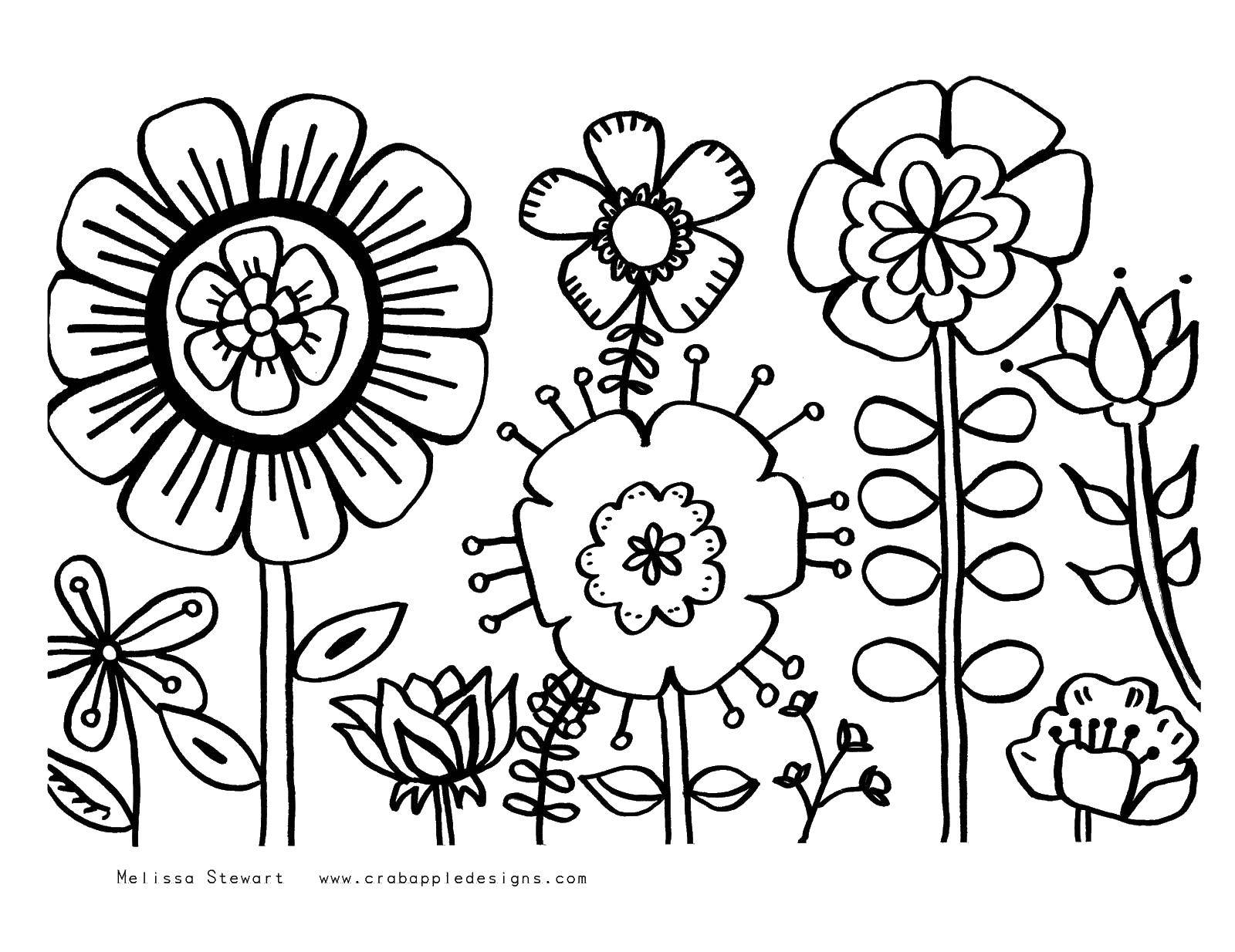 Coloring Different colors. Category Flowers. Tags:  flowers, plants.
