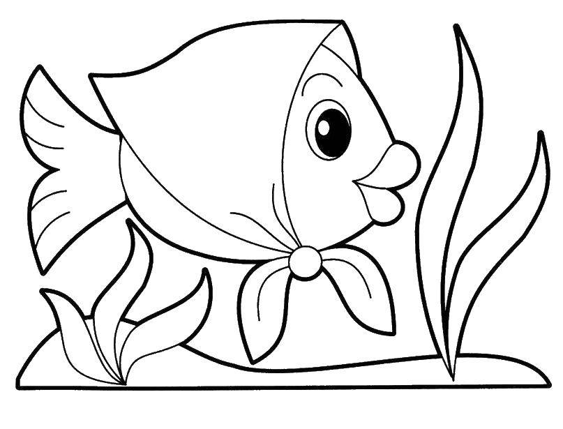 Coloring Fish in a scarf. Category fish. Tags:  coloring pages for kids, fish.