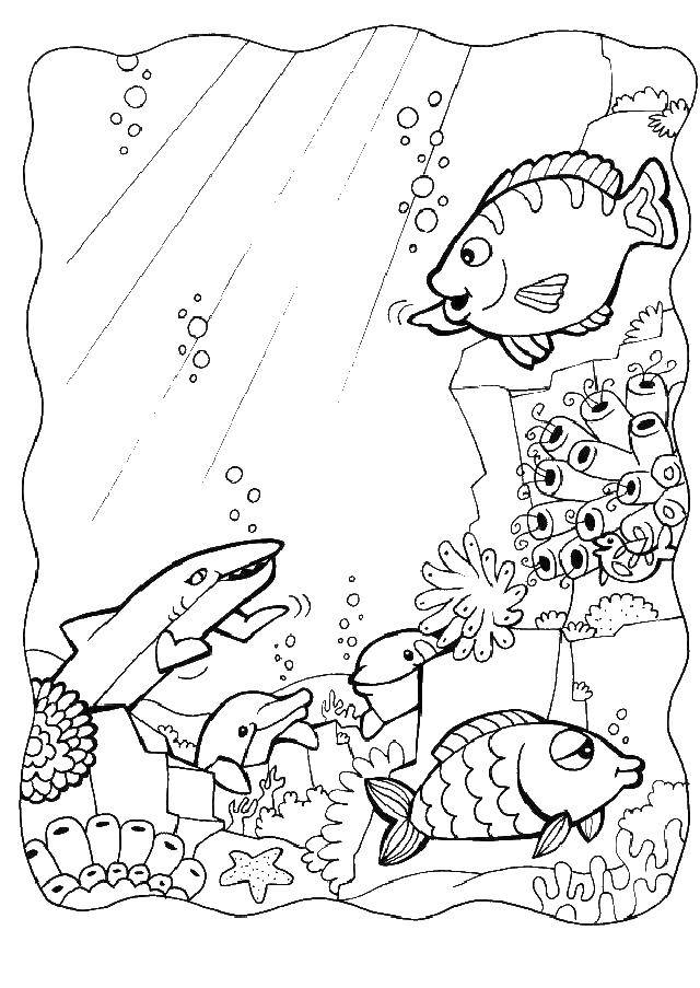 Coloring Fish, sharks, dolphins in the sea. Category fish. Tags:  marine animals, water, sea, fish.