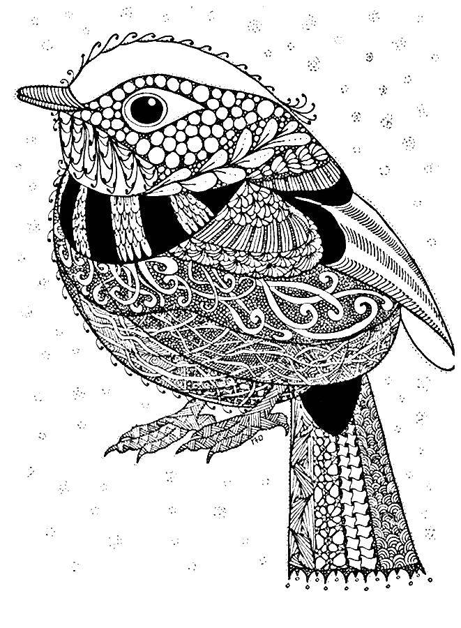 Coloring Titmouse with patterns. Category coloring antistress. Tags:  bird , tail, beak, patterns.