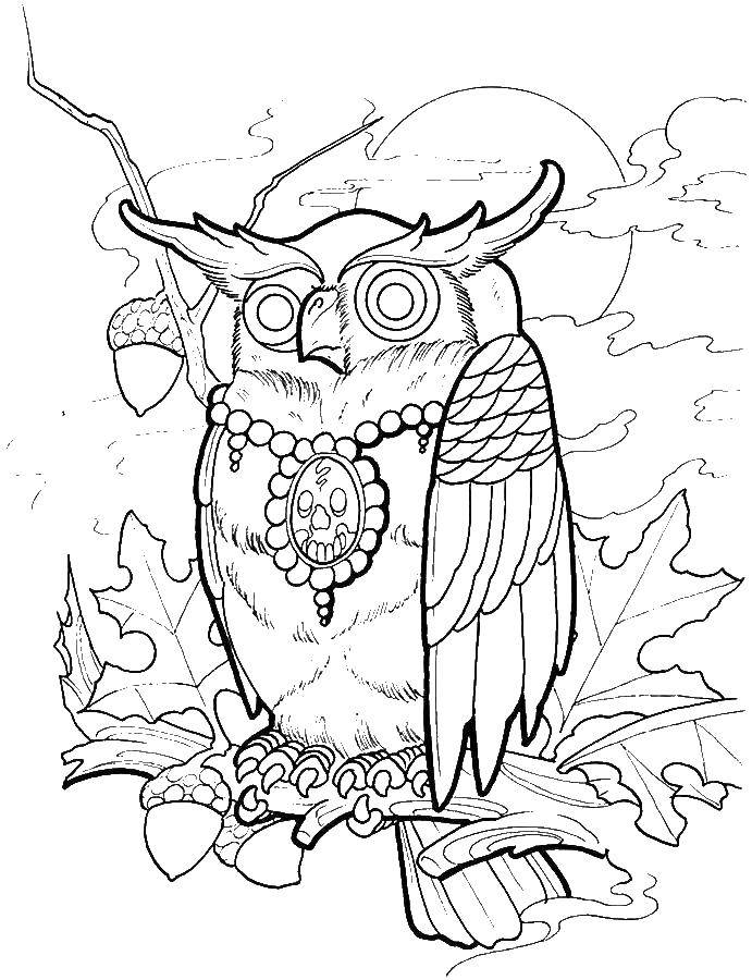Coloring Owl necklace. Category coloring. Tags:  owl necklace, acorn.