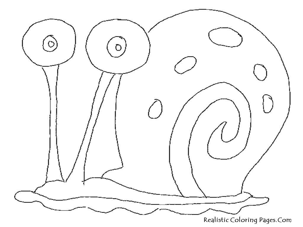 Coloring Snail Gary. Category Spongebob. Tags:  Spongebob cartoons, Gary, snail.