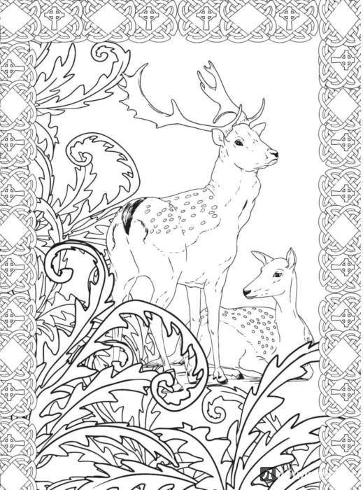 Coloring Pattern with deer. Category coloring antistress. Tags:  Bathroom with shower.