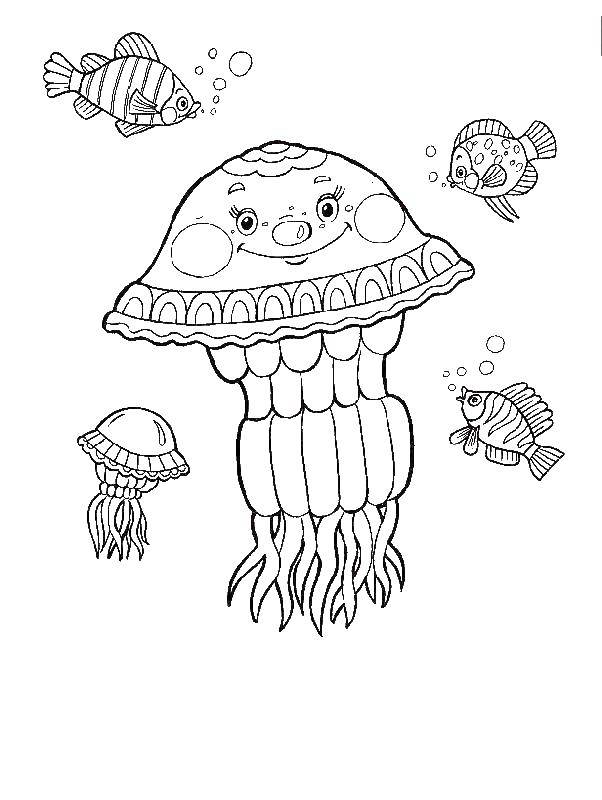 Название: Раскраска Веселая медуза плавает с рыбками. Категория: морское. Теги: Подводный мир, медуза, рыбки.