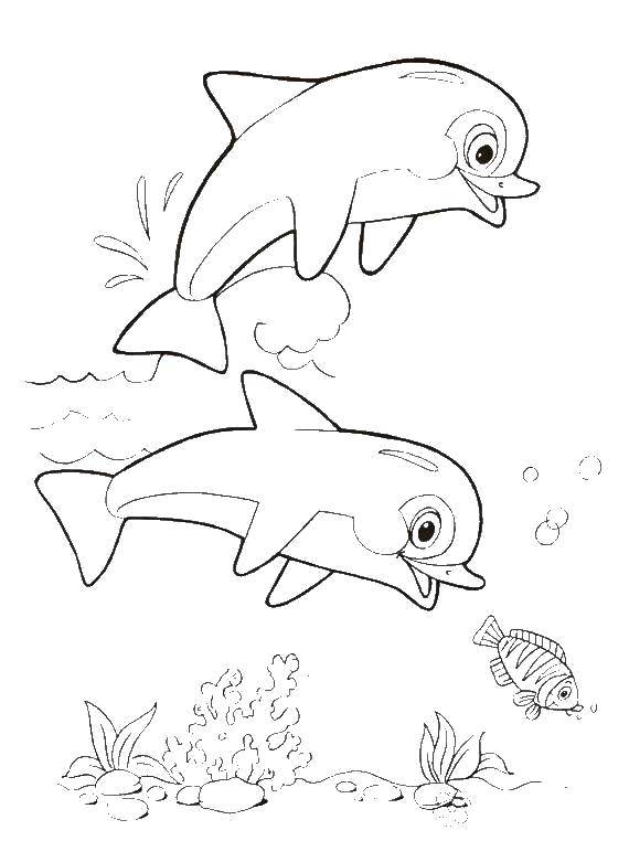 Название: Раскраска Веселые дельфины играют в воде. Категория: морское. Теги: Подводный мир, дельфин.