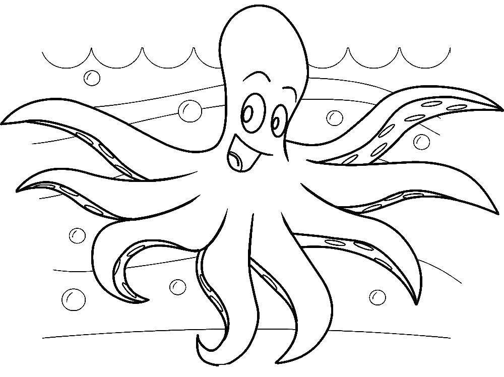 Название: Раскраска Веселый осьминог и пузыри. Категория: морское. Теги: Подводный мир, осьминог.