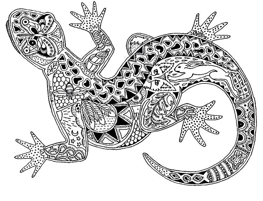 Coloring Lizard with patterns. Category coloring antistress. Tags:  lizard, patterns, tail.
