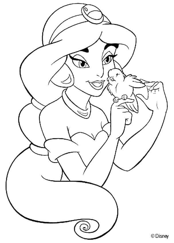 Название: Раскраска Жасмин с птичкой. Категория: Принцессы. Теги: принцессы, Жасмин, птичка.