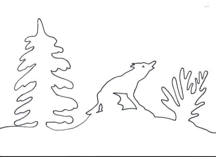 Coloring Winter circuit. Category contour of wolf. Tags:  Outline .