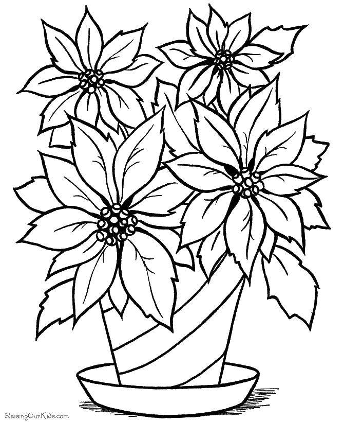 Coloring 4 flower in a pot. Category Flowers. Tags:  Flowers, bouquet.